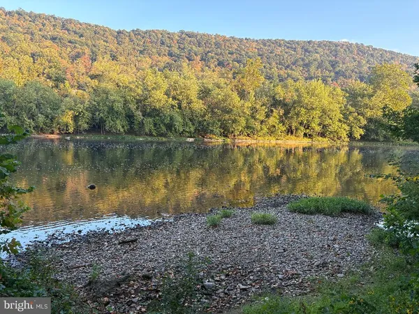 a view of a lake with a mountain in the background