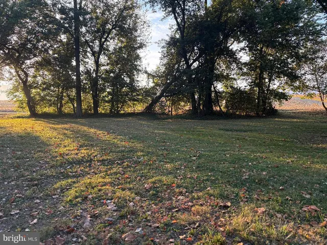 a view of a field with trees in the background