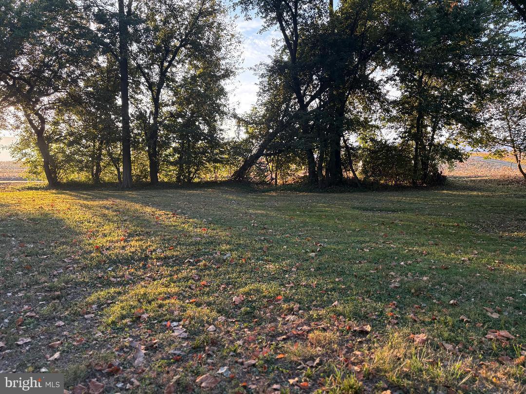 0 East River Road Lewistown, PA 17044 - Photo 2 of 14 a view of a field with trees in the background