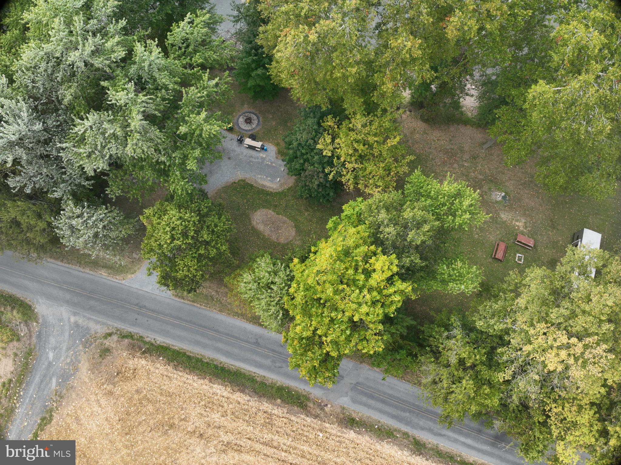 0 East River Road Lewistown, PA 17044 - Photo 4 of 14 a view of a yard with plants