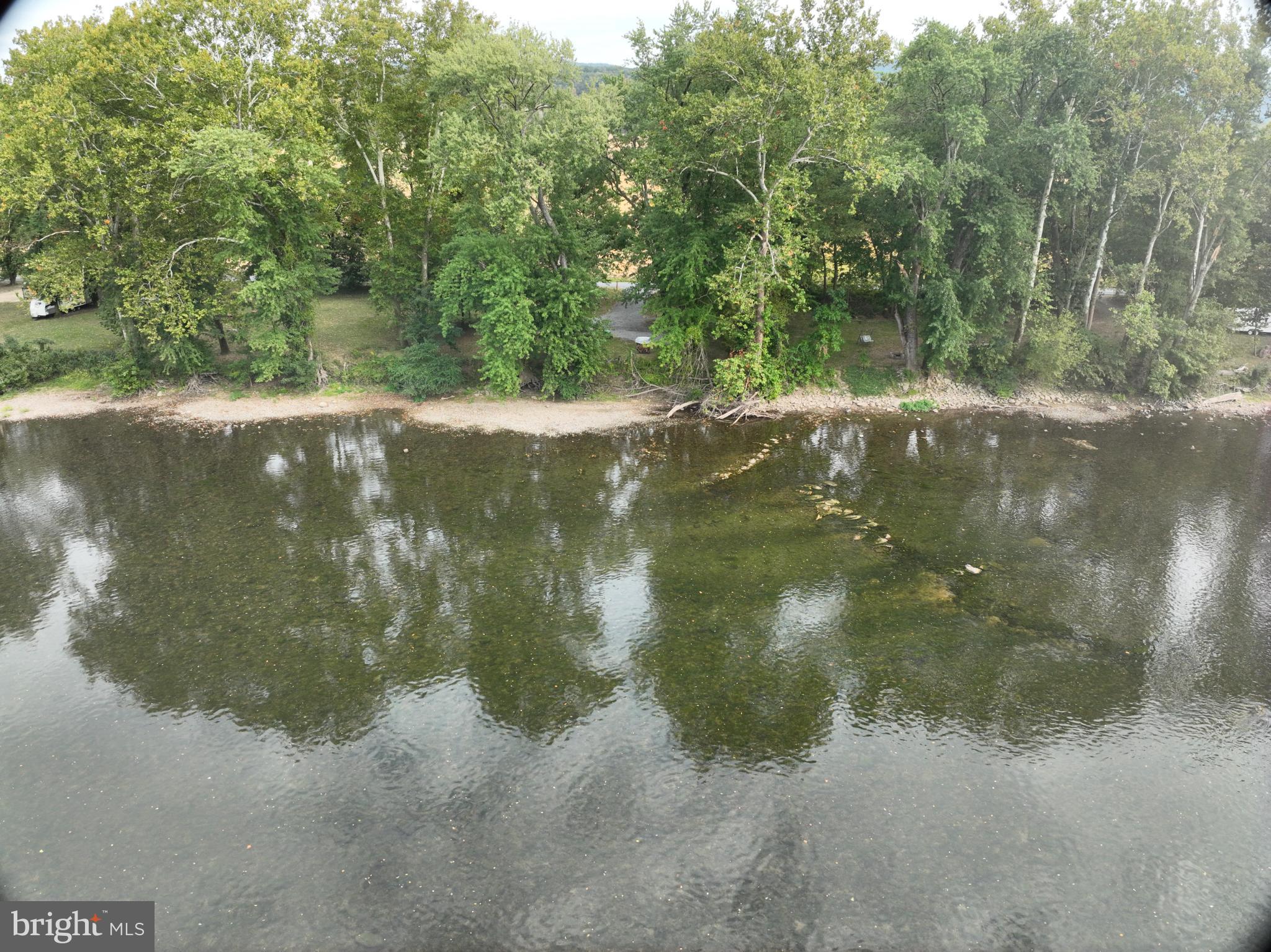 0 East River Road Lewistown, PA 17044 - Photo 5 of 14 a view of a lake view with large trees