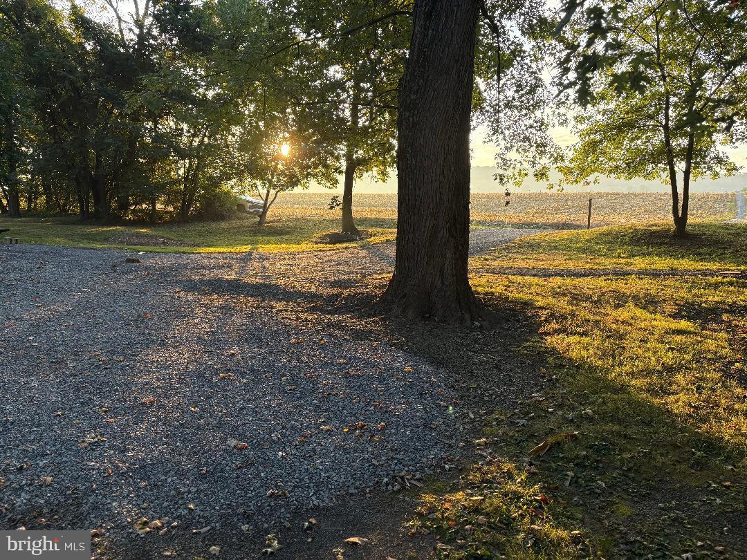 0 East River Road Lewistown, PA 17044 - Photo 7 of 14 a view of an ocean with a large tree