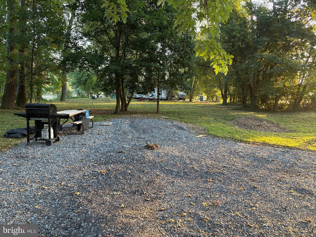 0 East River Road Lewistown, PA 17044 - Photo 8 of 14 a view of a yard with a tree