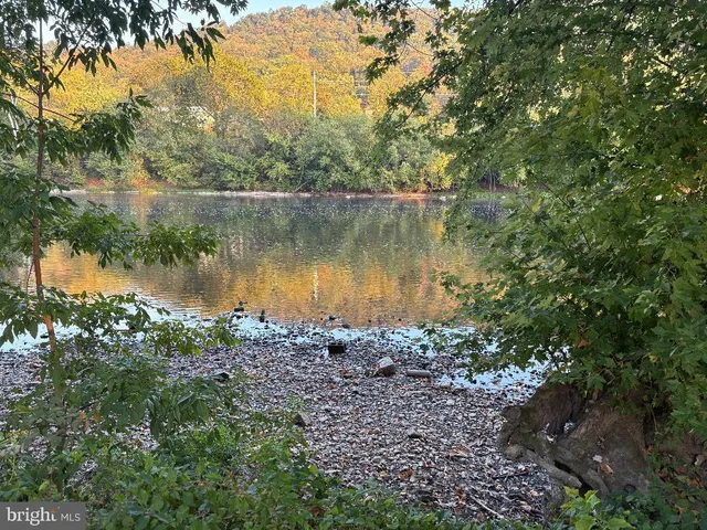 a lake view with a lake