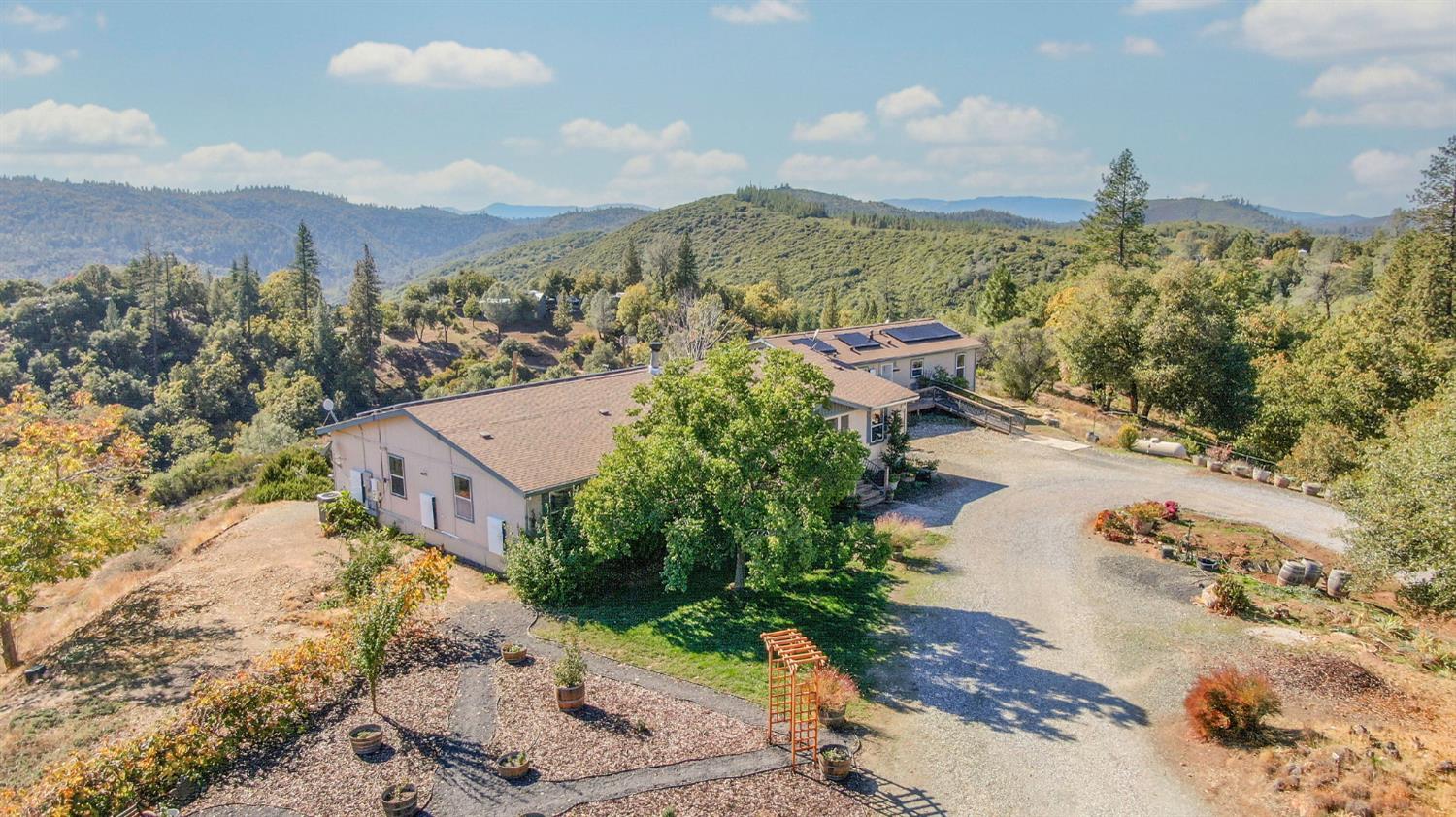 3770 Sheep Ranch Road Murphys, CA 95247 - Photo 2 of 92