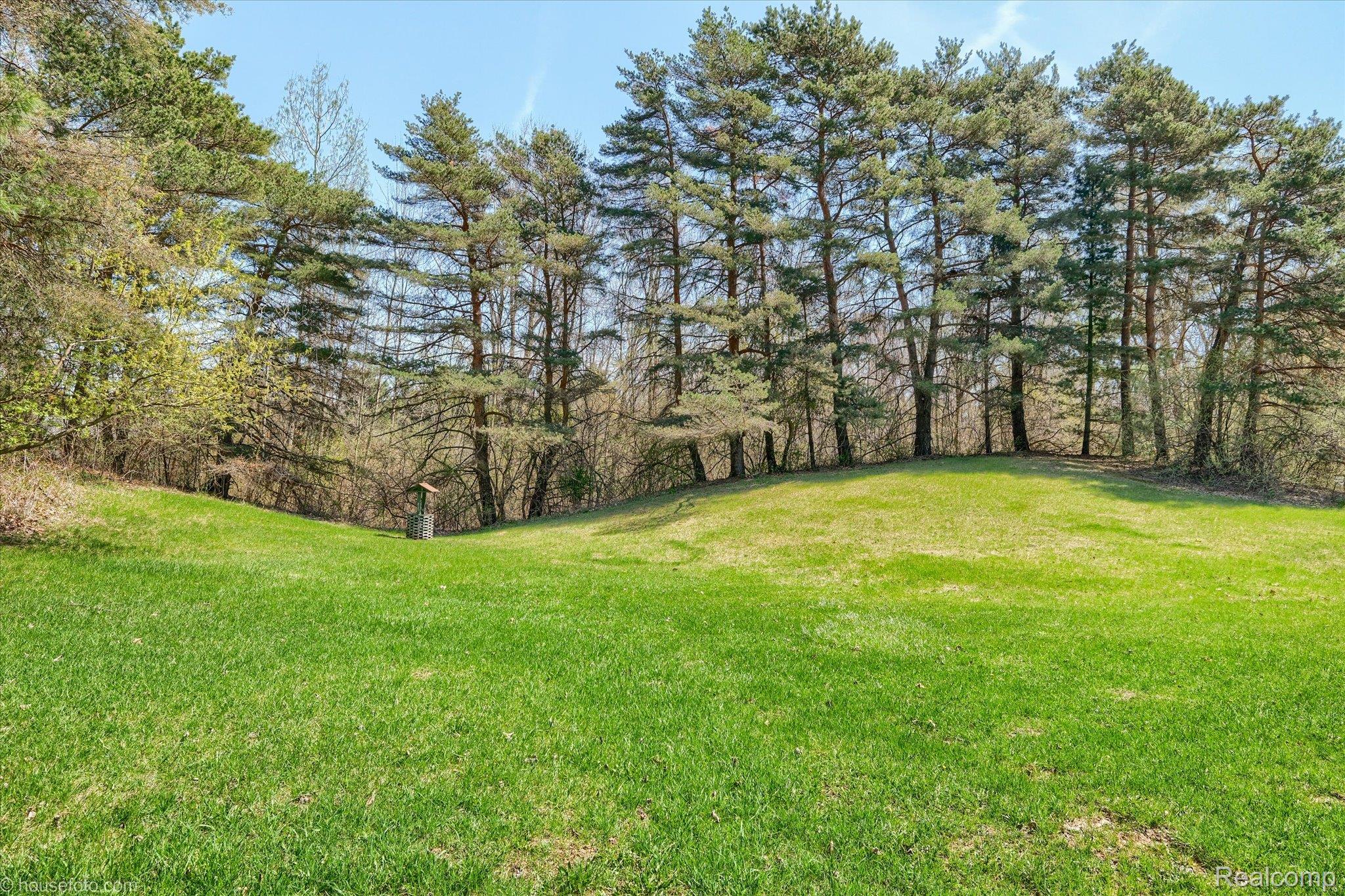 1325 Barnes Lake Road North Branch, MI 48461 - Photo 3 of 42 View of green lawn with view of wooded area