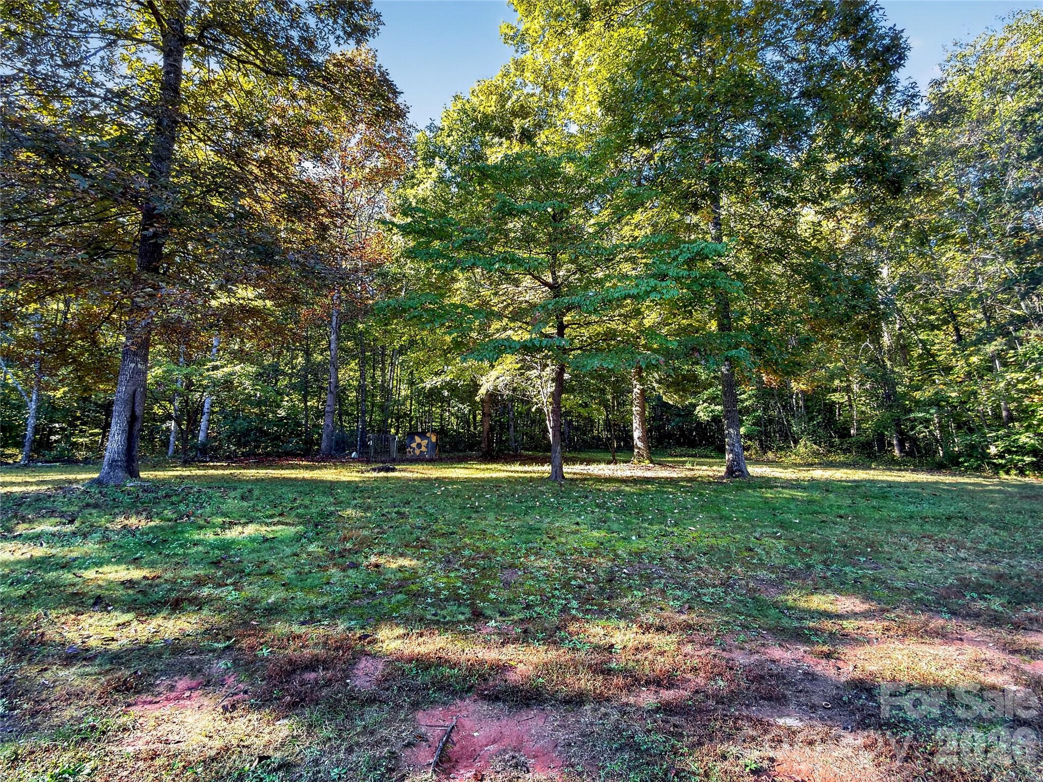 124 Tyler Terrace Rutherfordton, NC 28139 - Photo 4 of 38 Gallery Image 4