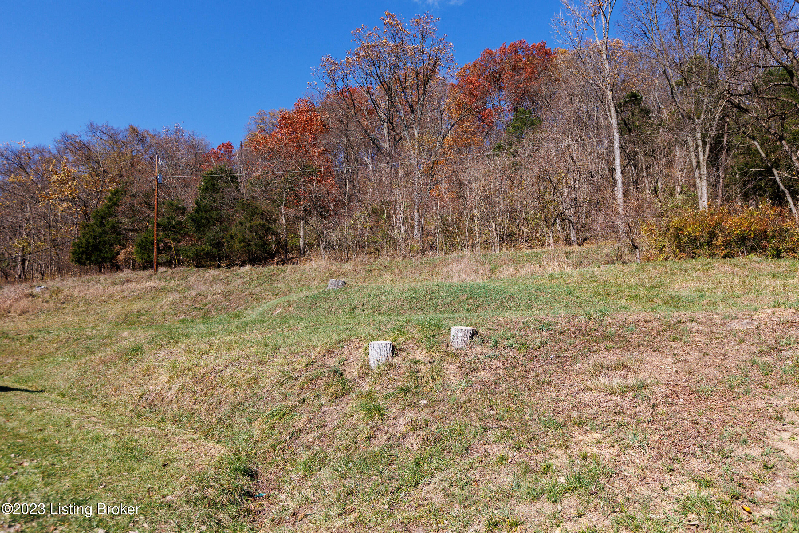 2161 Lock Road Carrollton, KY 41008 - Photo 46 of 53 046