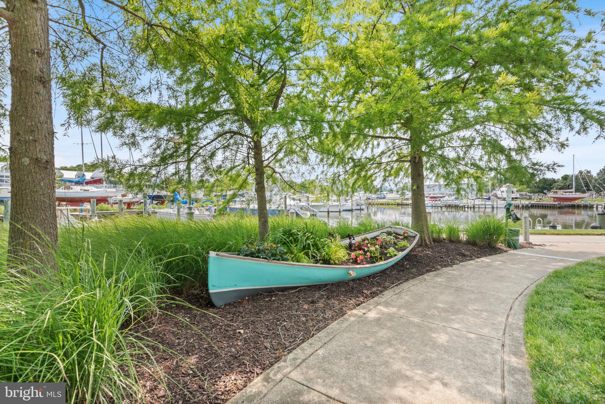 900 Marshy Cove, Unit 103 Cambridge, MD 21613 - Photo 13 of 19 a view of a garden with an outdoor space