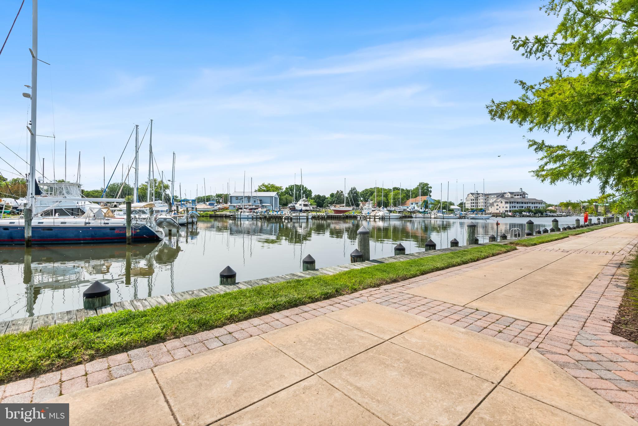 900 Marshy Cove, Unit 103 Cambridge, MD 21613 - Photo 14 of 19 a view of a lake with boats and trees in the background