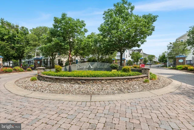 a view of a park with plants and trees