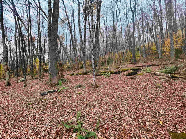 $17,000 | 0 Alpendorf Avenue, Unit 88, Townshend, VT 05353