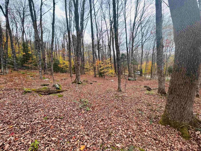 $17,000 | 0 Alpendorf Avenue, Unit 88, Townshend, VT 05353