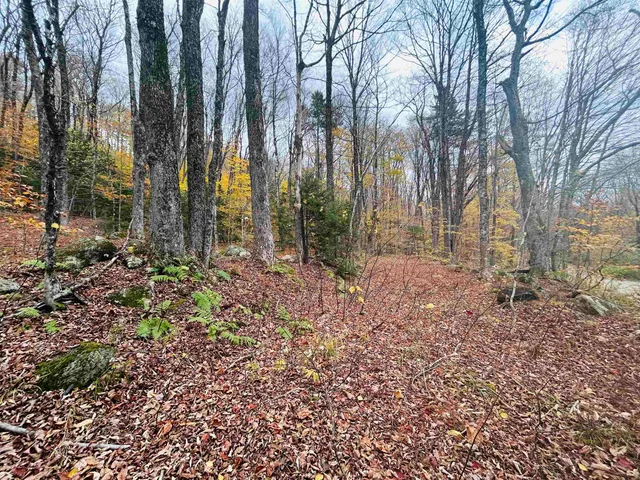 $17,000 | 0 Alpendorf Avenue, Unit 88, Townshend, VT 05353