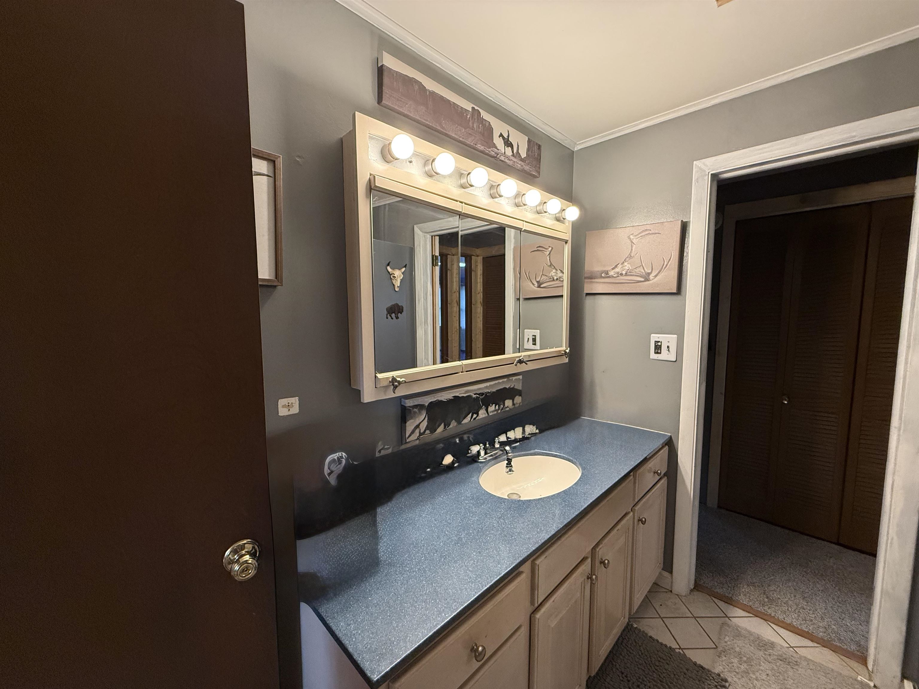 5322 South La Chance Road Lake City, MI 49651 - Photo 40 of 81 Bathroom adjoins kitchen and bathroom area