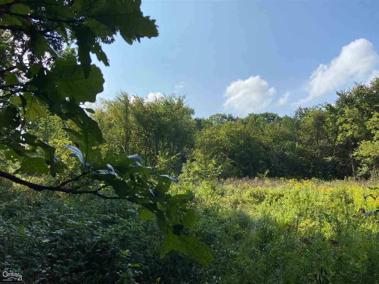 0 Marshall Road South Lyon, MI 48178 - Photo 27 of 29