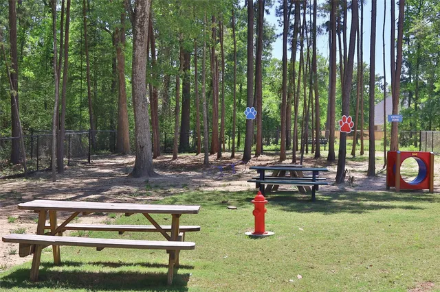 $3,700 | 1132 Beals Crk Street, Conroe, TX 77304