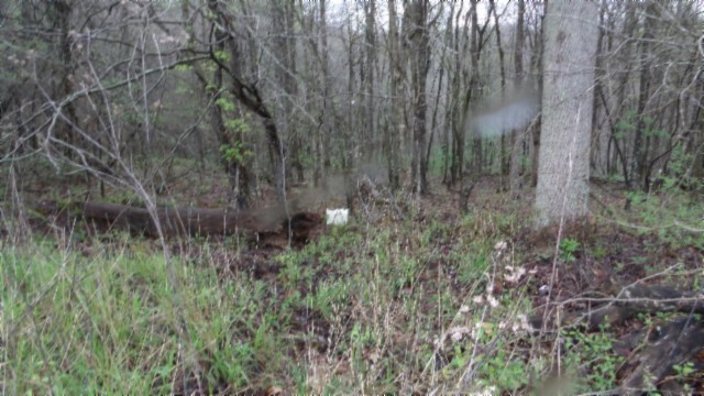 0 Denton Road Moss, TN 38575 - Photo 31 of 75 Gallery Image 31