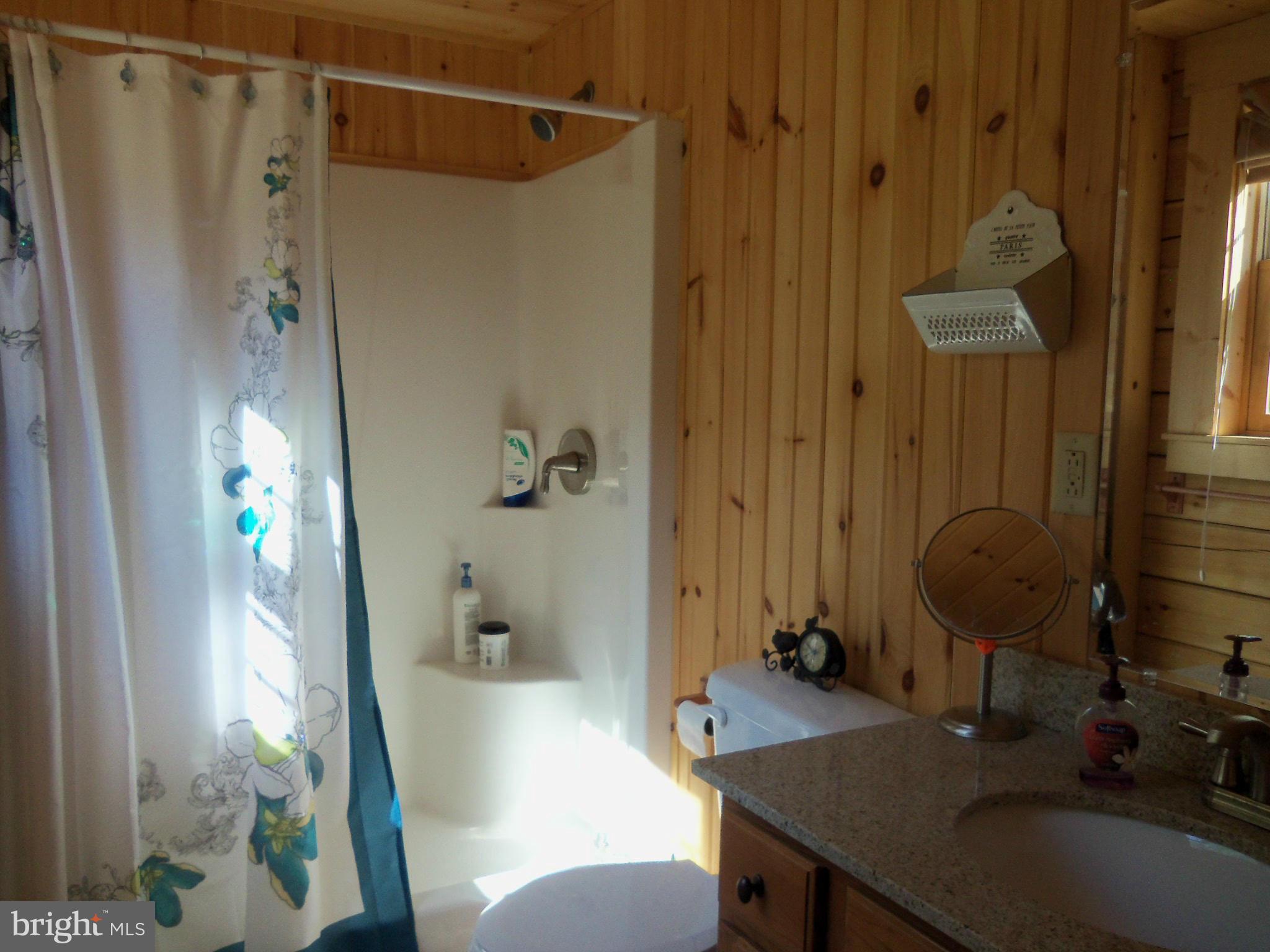 258 Gobbler Road Hedgesville, WV 25427 - Photo 26 of 30 Bath (Master)