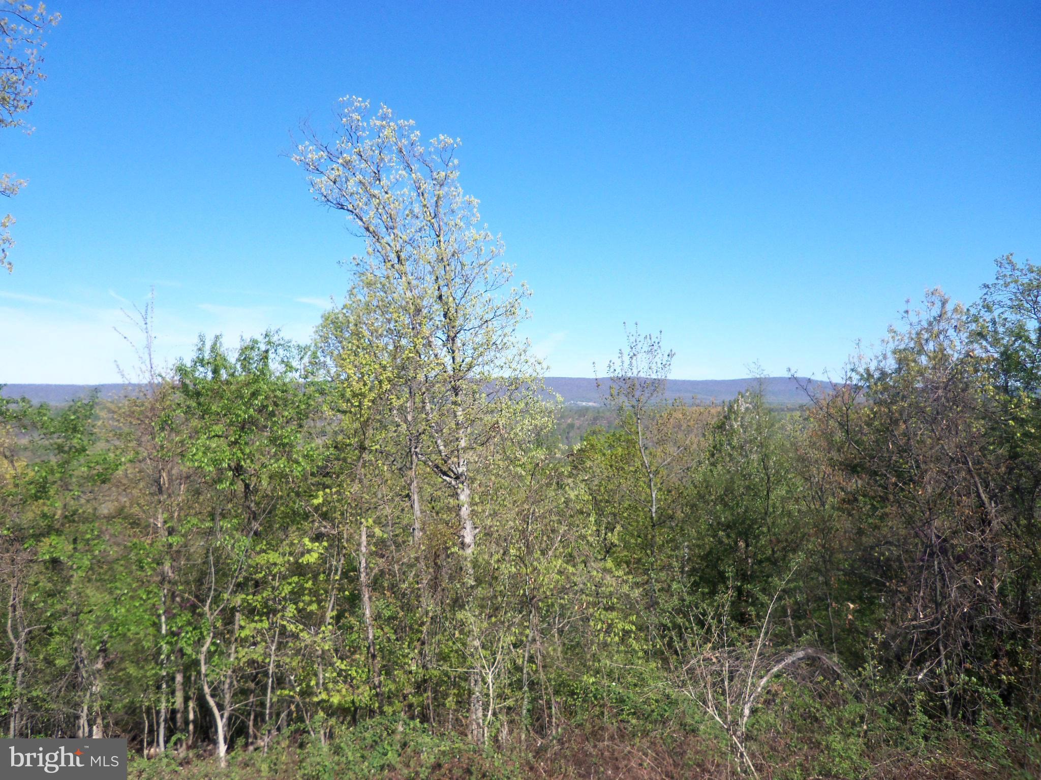 258 Gobbler Road Hedgesville, WV 25427 - Photo 7 of 30 View from deck