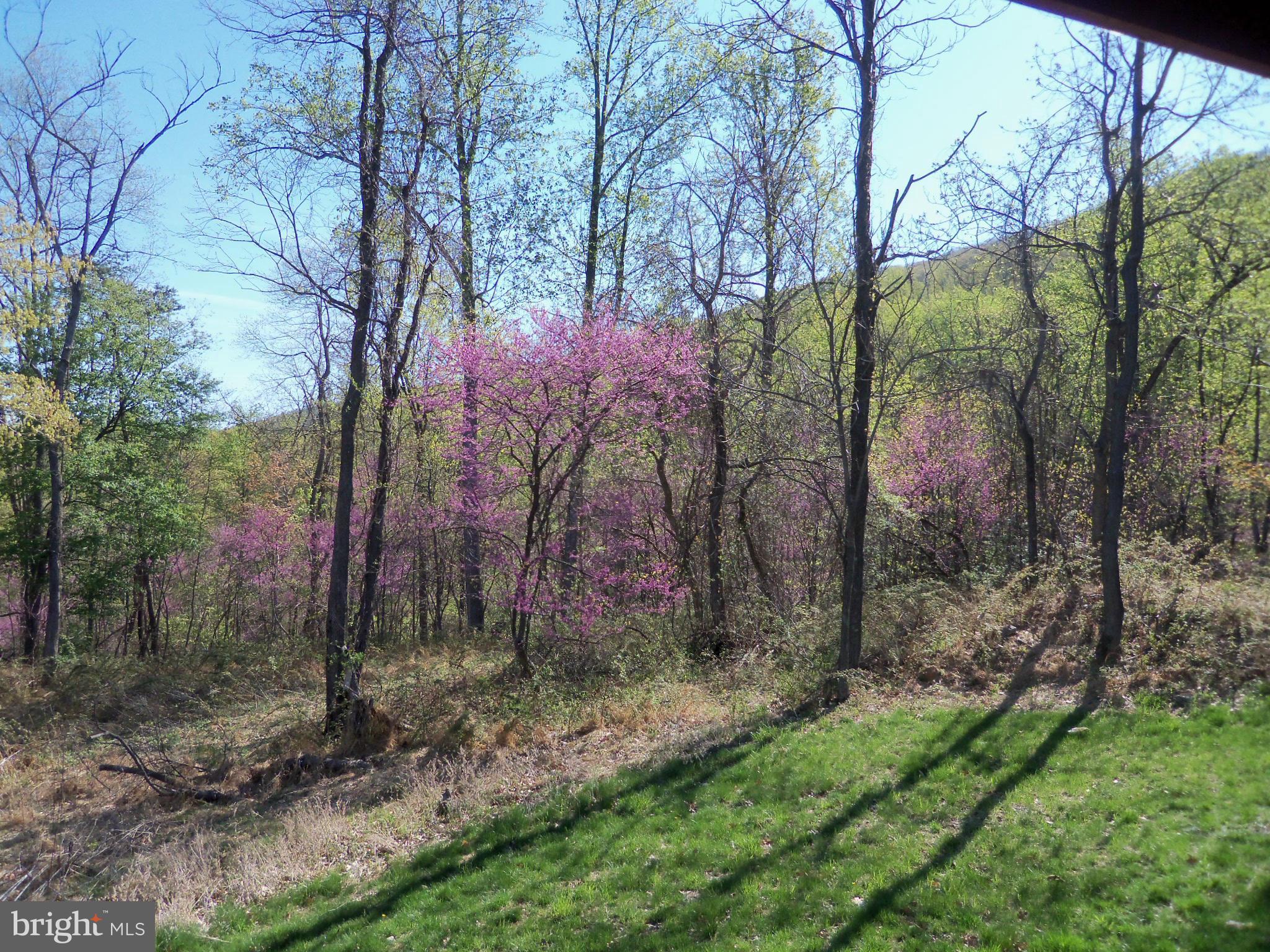 258 Gobbler Road Hedgesville, WV 25427 - Photo 9 of 30 View