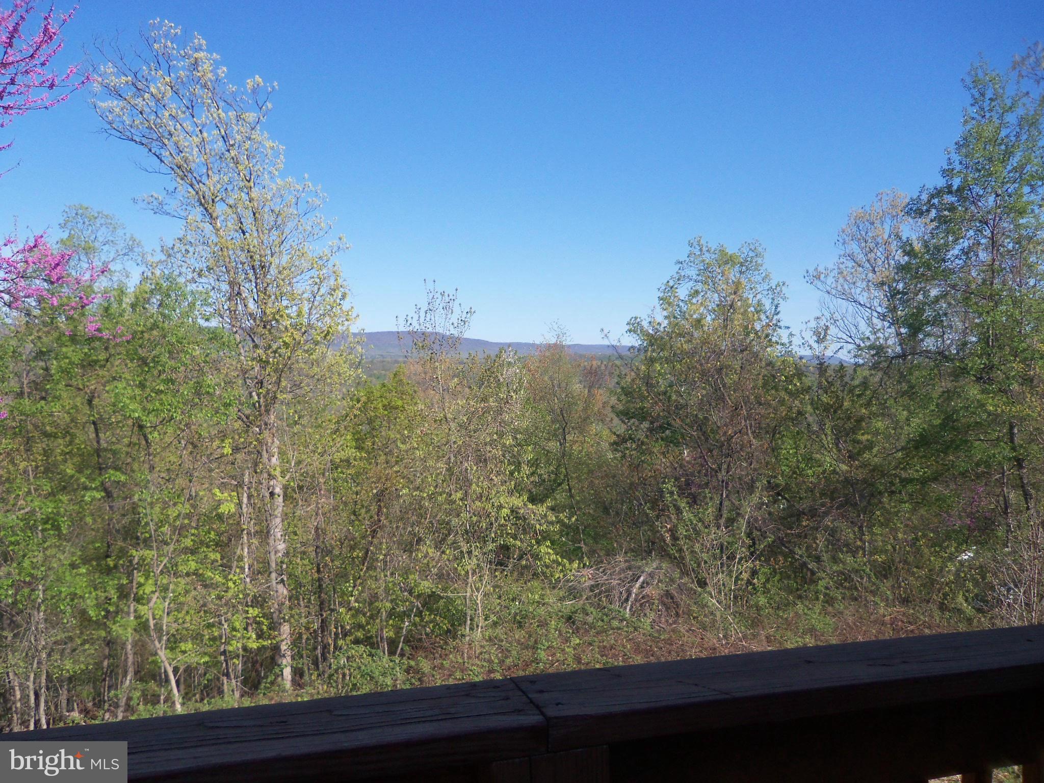 258 Gobbler Road Hedgesville, WV 25427 - Photo 10 of 30 View