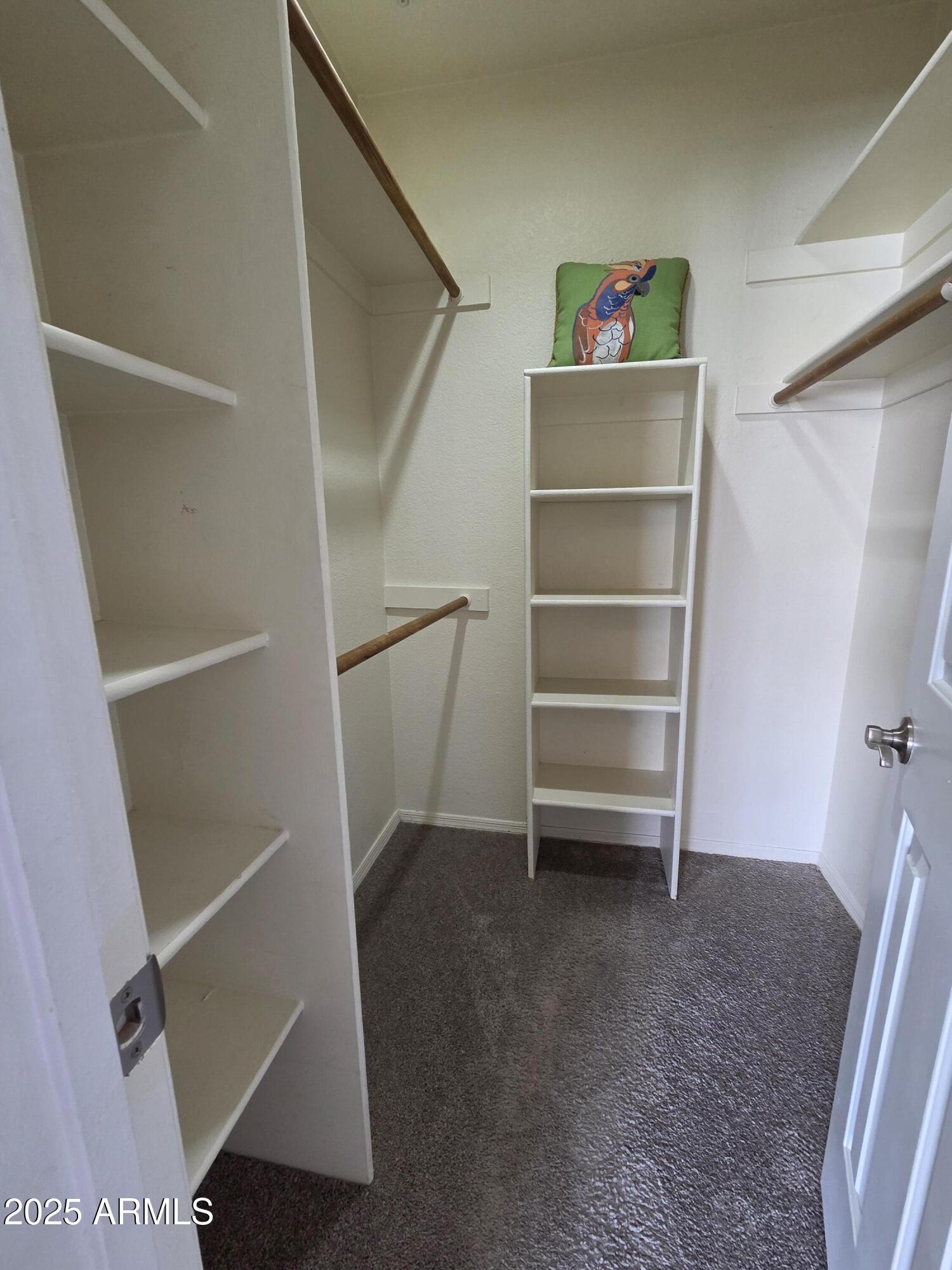 1825 West Ray Road, Unit 2031 Chandler, AZ 85224 - Photo 13 of 21 a view of an empty walk in closet