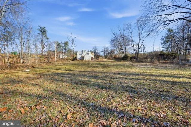 a view of a yard with a trees