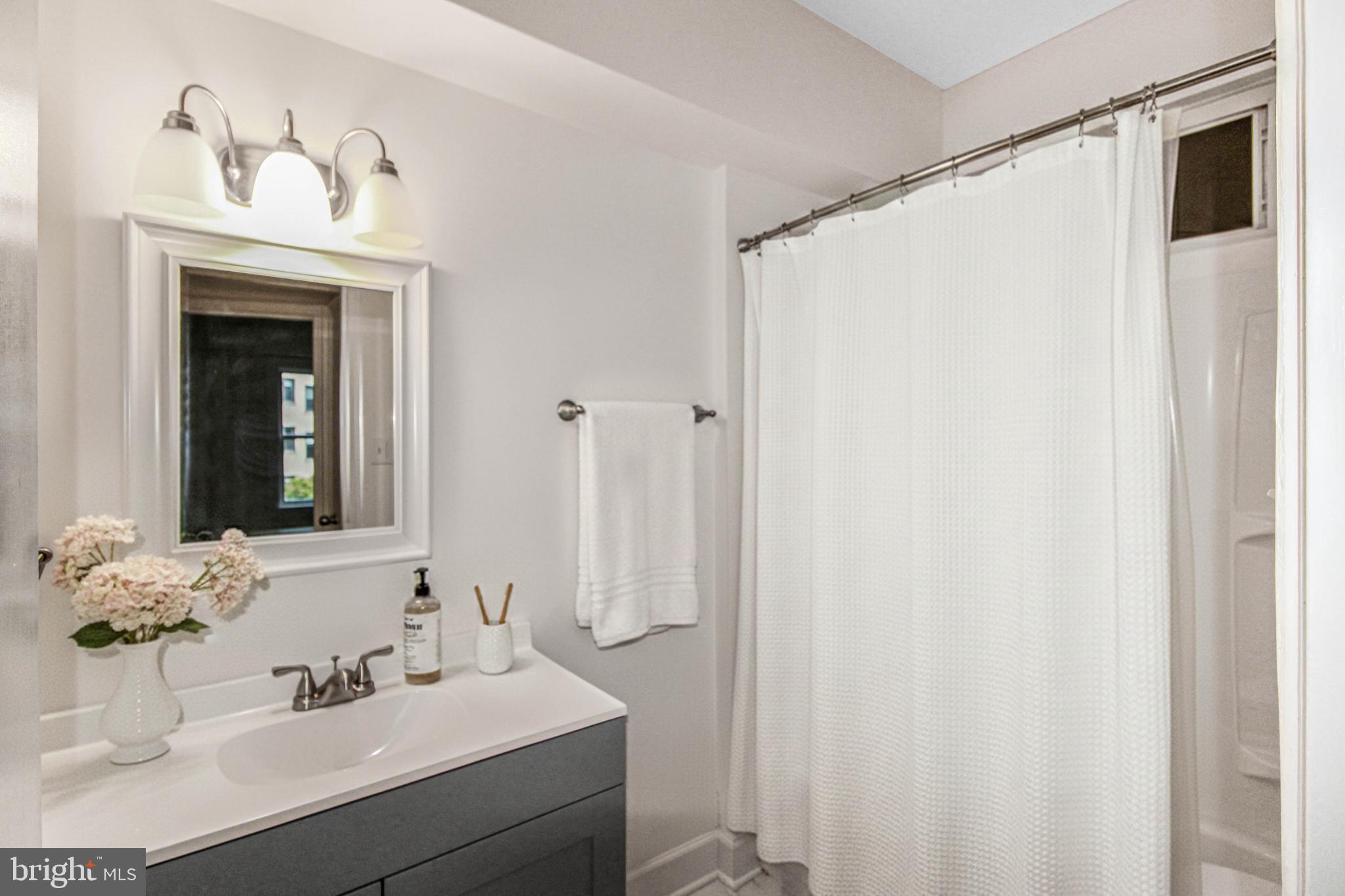 3901 Cathedral Avenue Northwest, Unit 201 Washington, DC 20016 - Photo 5 of 30 Modern bathroom with elegant fixtures.