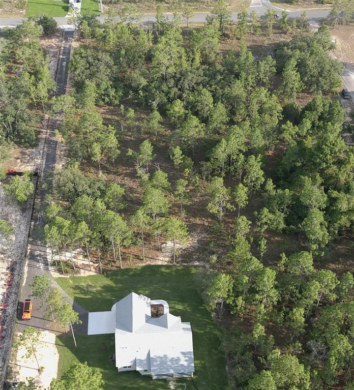 13193 Barnevelde Road Weeki Wachee, FL 34614 - Photo 69 of 71