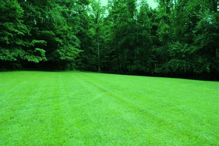 376 Ike Monhollen Road Corbin, KY 40701 - Photo 23 of 41 Photo 23