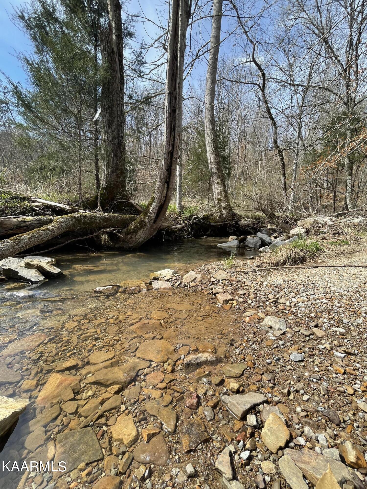 Skaggs Hollow Road Tazewell, TN 37879 - Photo 3 of 4 B0CC8764-438A-4343-A059-E83D47CC23E2