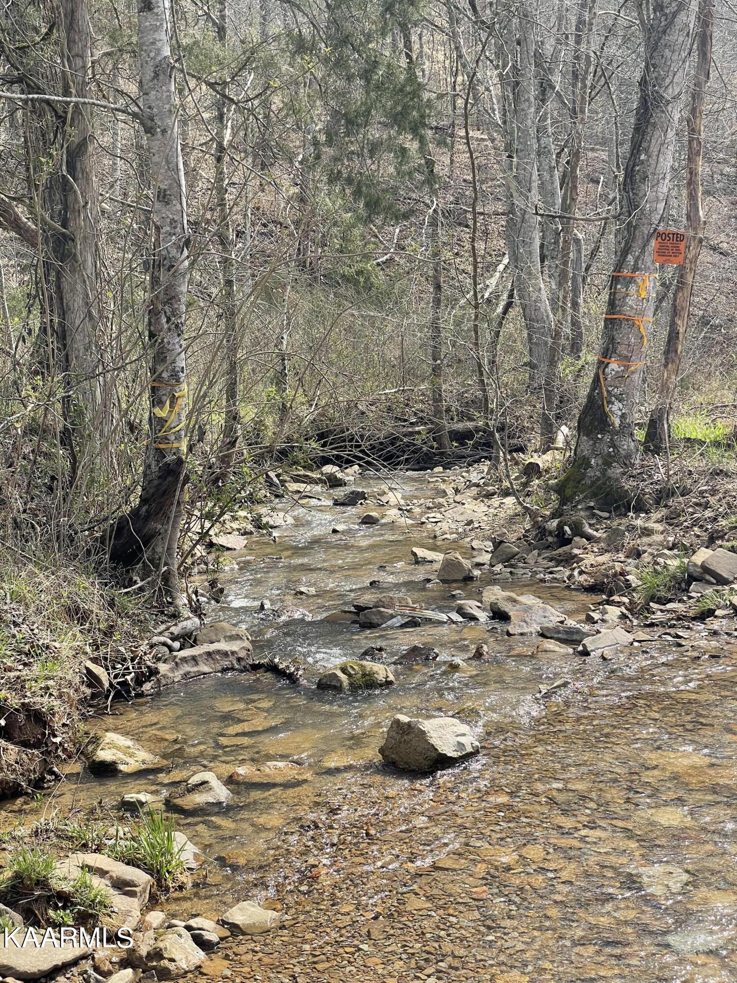 Skaggs Hollow Road Tazewell, TN 37879 - Photo 4 of 4 5805173B-C7AD-44A3-945D-1986F0E45638
