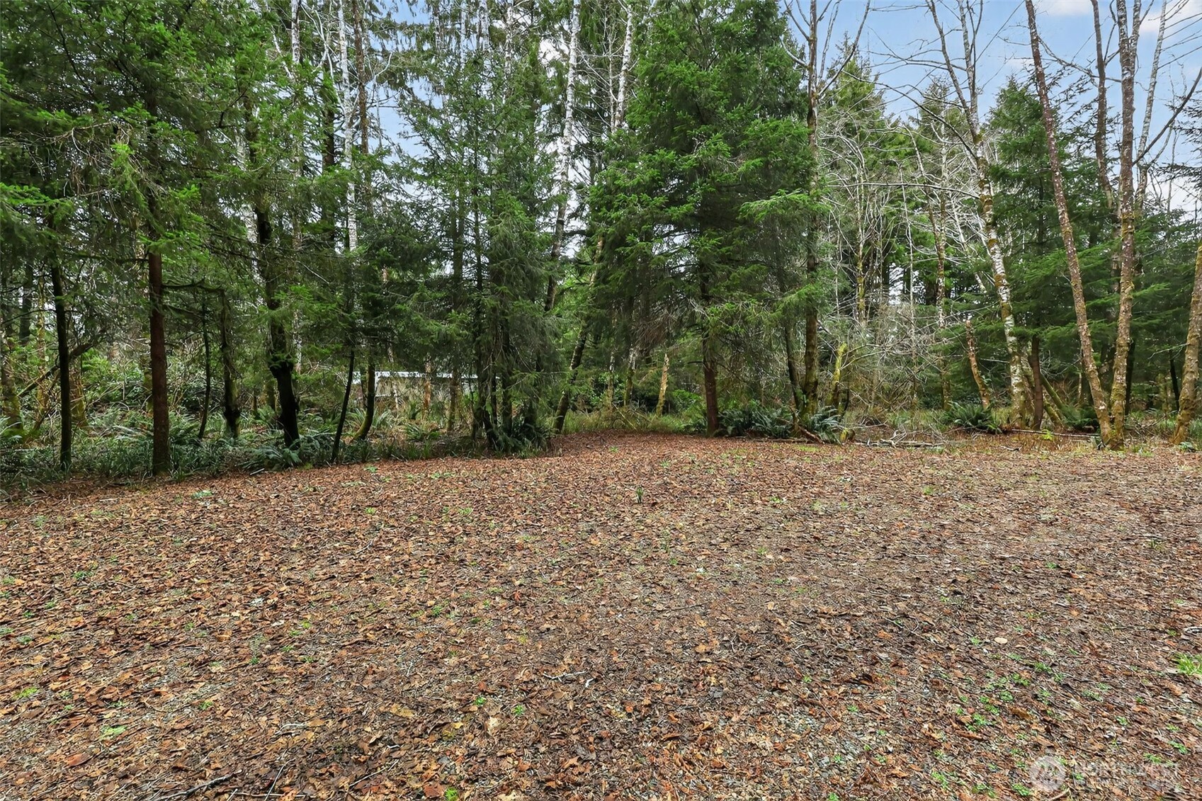 2776 State Route 109 Copalis Beach, WA 98535 - Photo 12 of 28 a view of outdoor space and yard