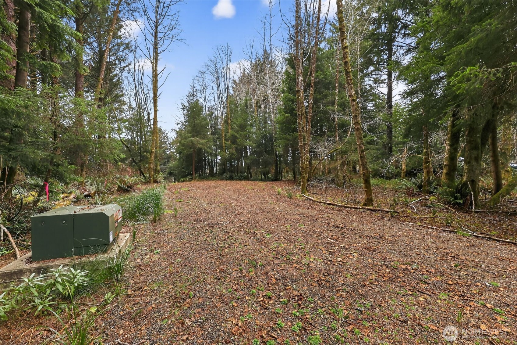 2776 State Route 109 Copalis Beach, WA 98535 - Photo 13 of 28 a view of backyard with outdoor space