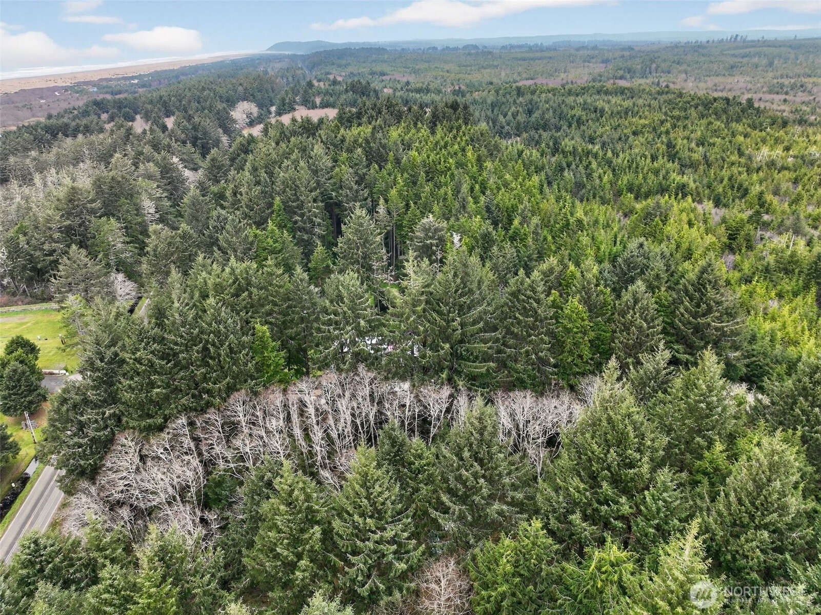 2776 State Route 109 Copalis Beach, WA 98535 - Photo 14 of 28 a view of a city with lush green forest