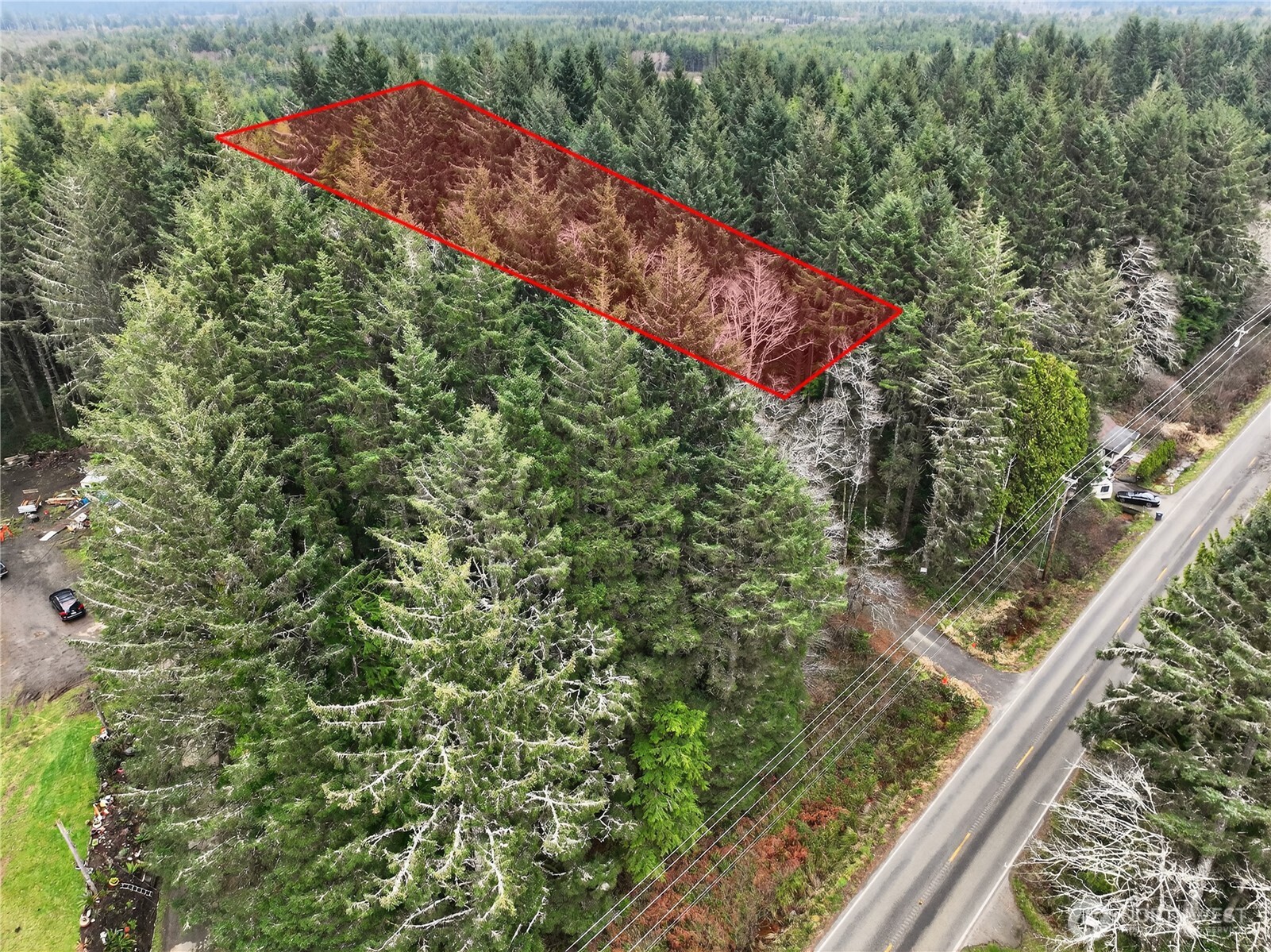 2776 State Route 109 Copalis Beach, WA 98535 - Photo 2 of 28 a view of a yard with plants