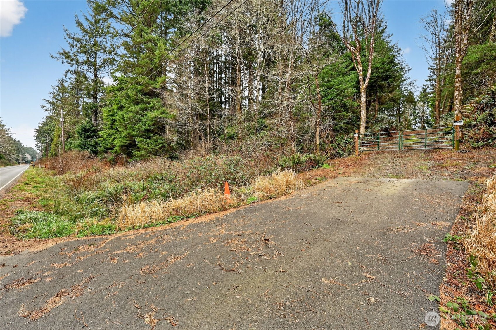 2776 State Route 109 Copalis Beach, WA 98535 - Photo 7 of 28 a view of a yard with a tree