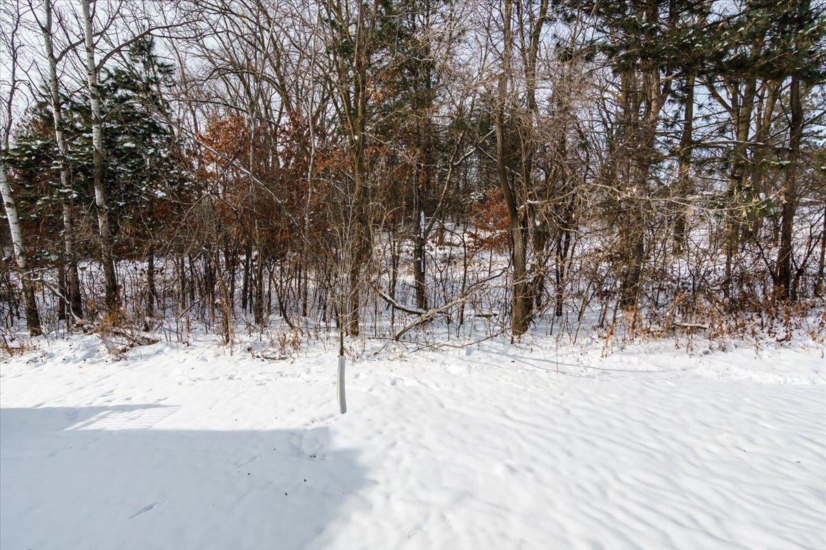 7805 Ava Trail Inver Grove Heights, MN 55077 - Photo 14 of 38