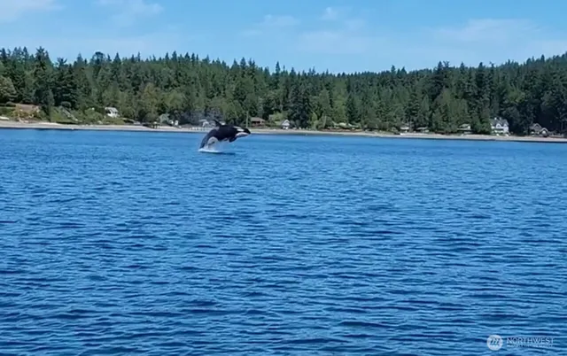 a view of ocean view