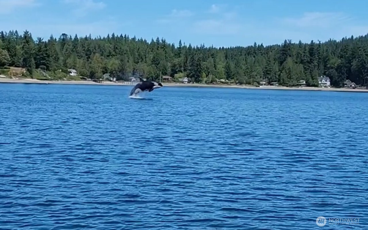 1954 Northeast Grandview Boulevard Keyport, WA 98345 - Photo 10 of 40 a view of outdoor space with deck and trees