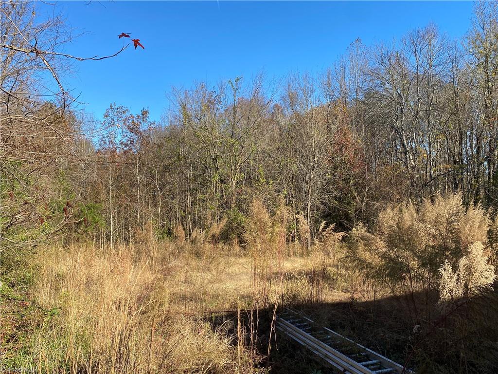 3903 Oak Ridge Road Summerfield, NC 27358 - Photo 22 of 22 Partially wooded