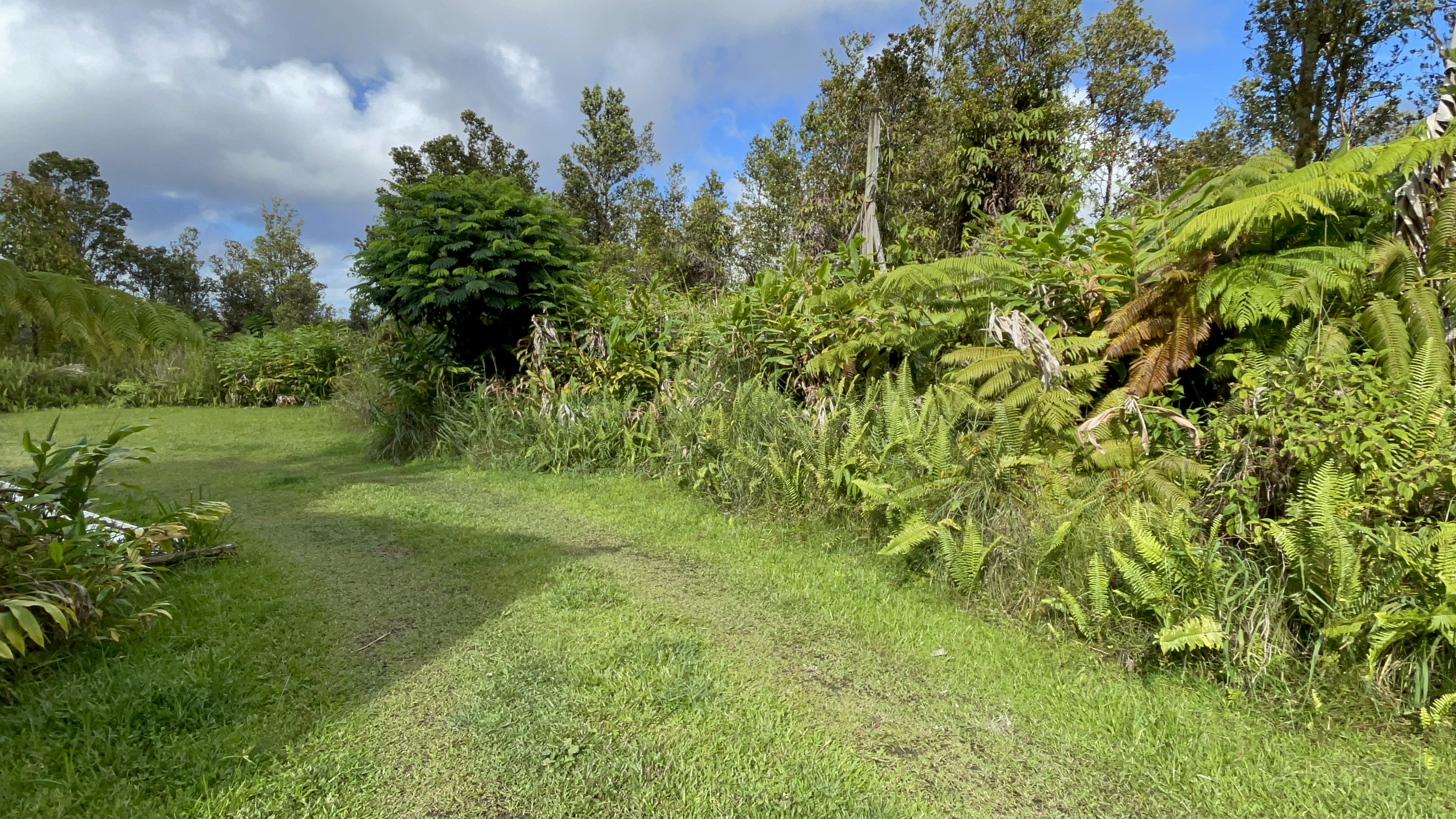 11-3264 Mailenani Road Mountain View, HI 96771 - Photo 26 of 28 Gallery Image 26