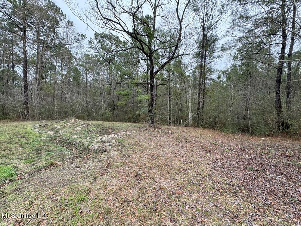 19438 Pete Hickman Road Saucier, MS 39574 - Photo 13 of 16 wooded lot