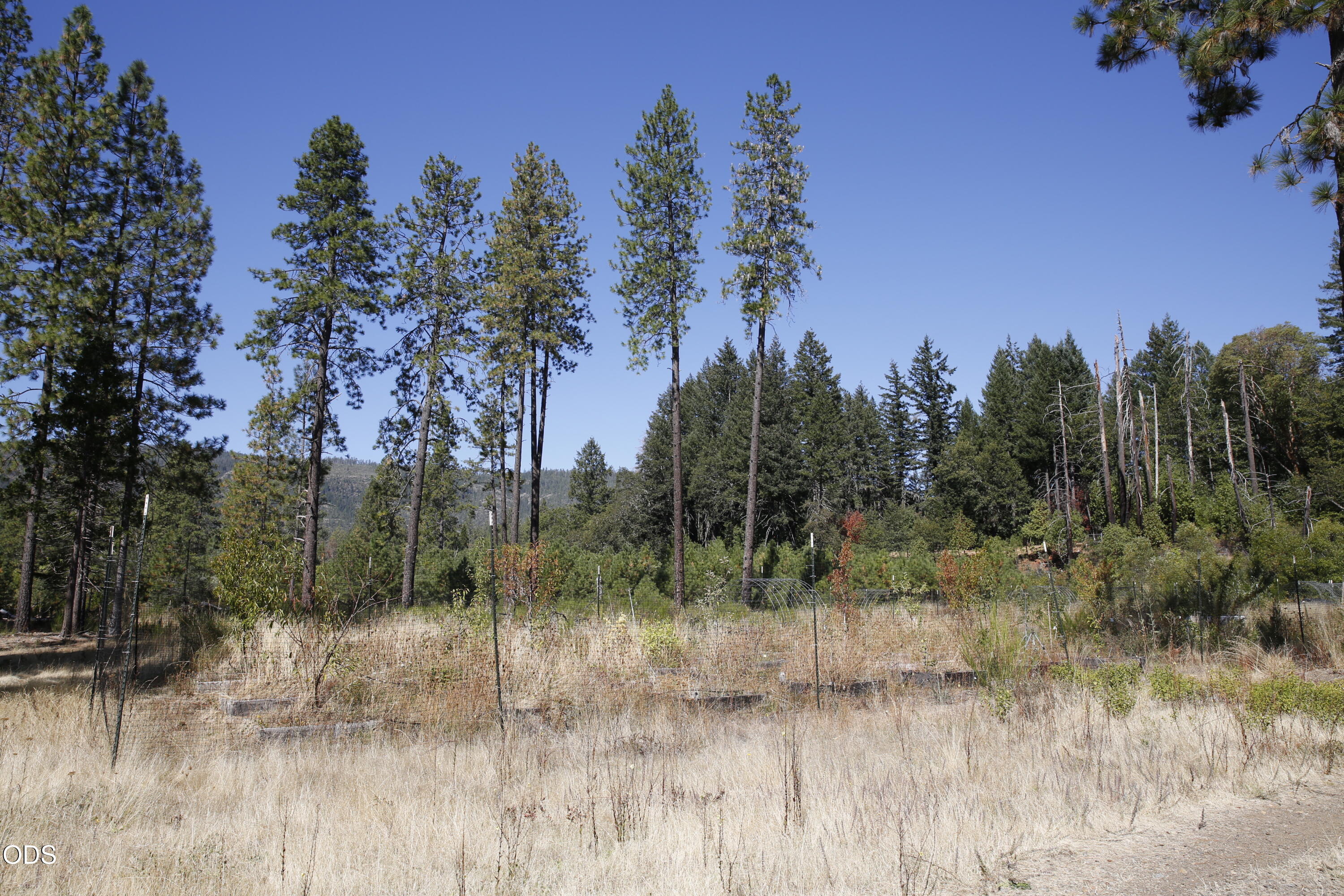 705 Lone Mountain Road O'Brien, OR 97534 - Photo 29 of 44 Gallery Image 29