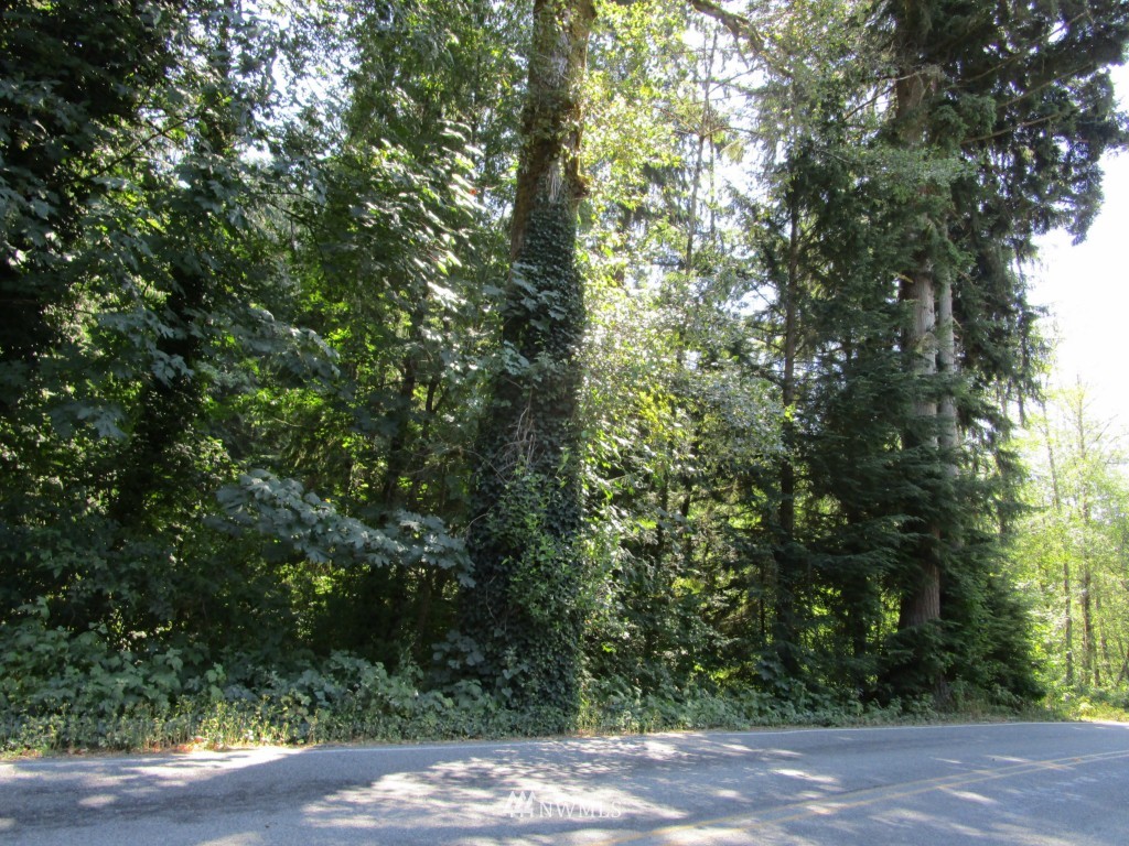 263 Florence Acres Road Monroe, WA 98272 - Photo 3 of 5 Gallery Image 3