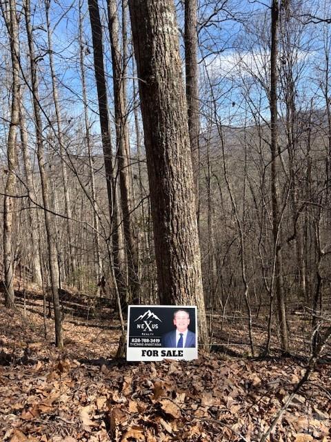 Lot 13 Henderson Road Franklin, NC 28734 - Photo 4 of 6