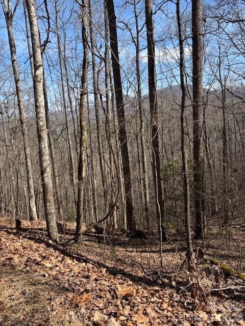 Lot 13 Henderson Road Franklin, NC 28734 - Photo 5 of 6