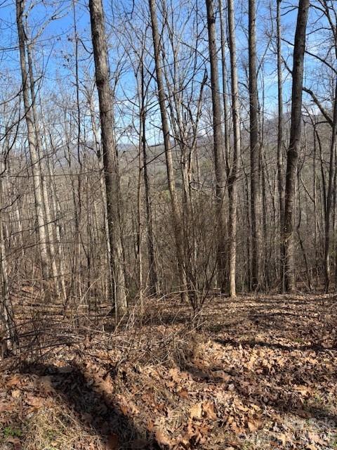 Lot 13 Henderson Road Franklin, NC 28734 - Photo 6 of 6