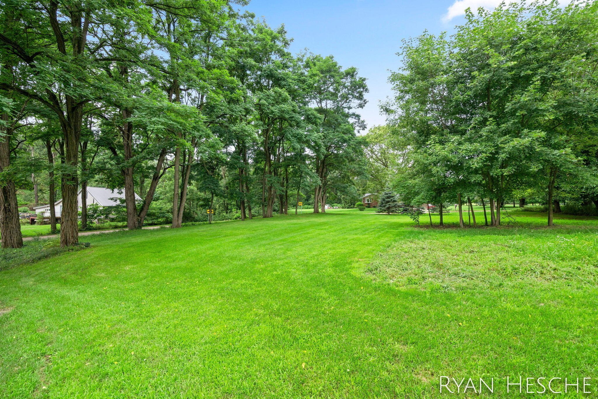 7210 MacArthur Road Saranac, MI 48881 - Photo 10 of 39 Side Yard